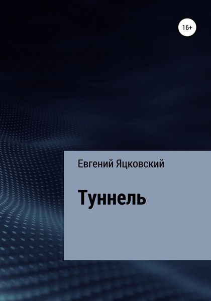 Обложка книги  «Туннель»