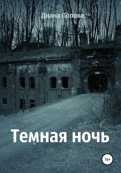 Обложка книги  «Тёмная ночь»