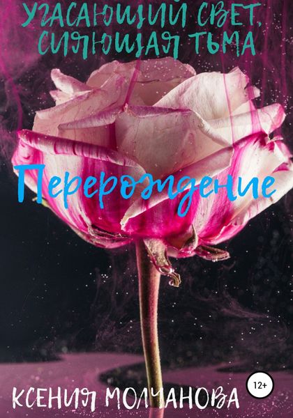 Обложка книги  «Угасающий свет, сияющая тьма: Перерождение»