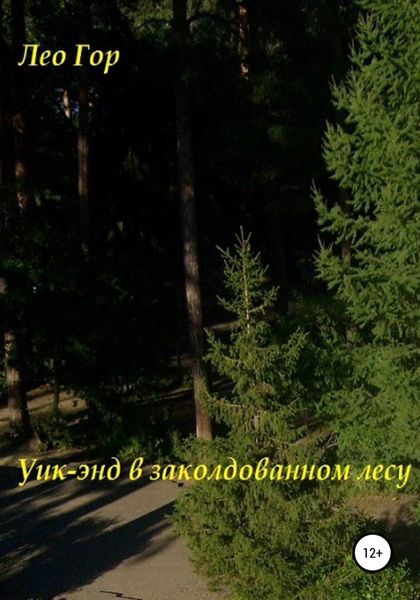 Обложка книги  «Уик-энд в заколдованном лесу»