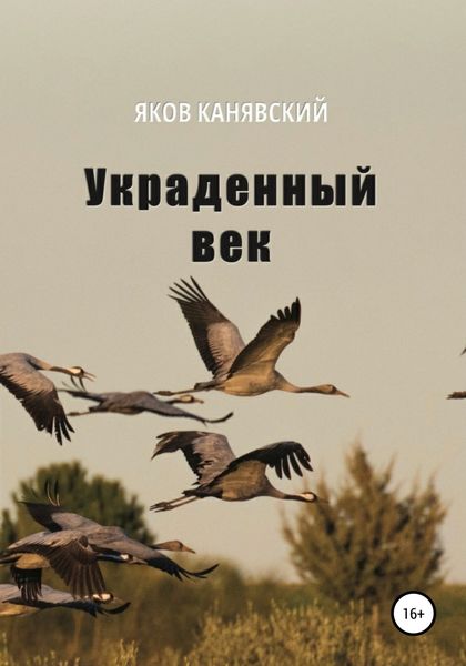 Обложка книги  «Украденный век»