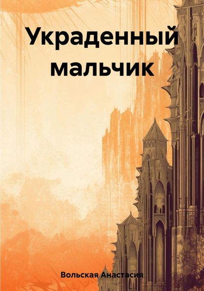 Обложка книги  «Украденный мальчик»