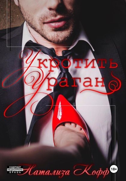 Обложка книги  «Укротить ураган»