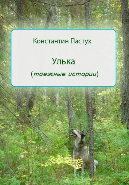 Обложка книги  «Улька»