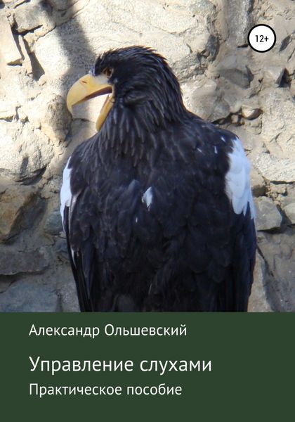 Обложка книги  «Управление слухами. Практическое пособие»