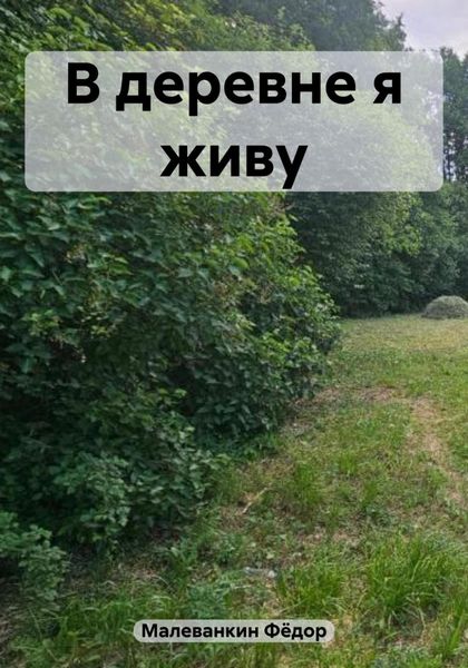 Обложка книги  «В деревне я живу»