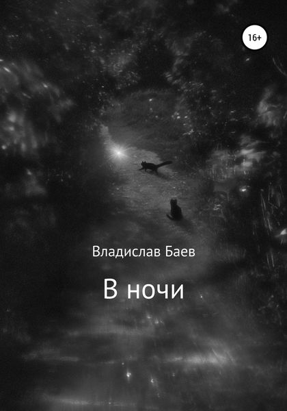 Обложка книги  «В ночи»