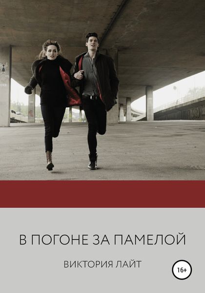 Обложка книги  «В погоне за Памелой»