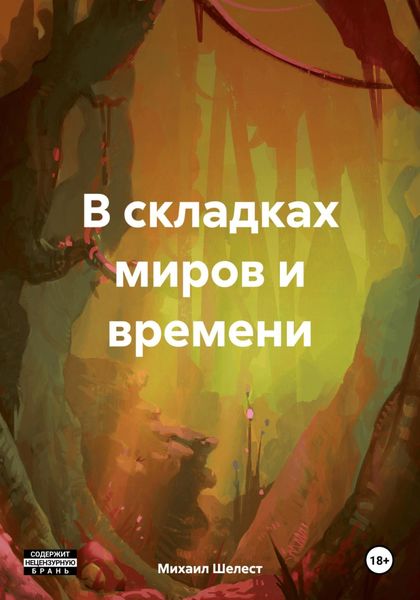 Обложка книги  «В складках миров и времени»