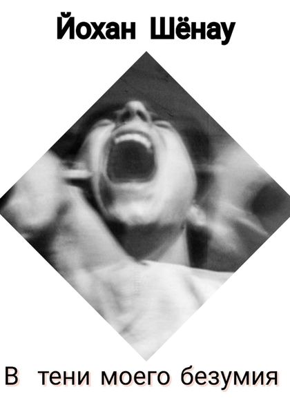 Обложка книги  «В тени моего безумия»
