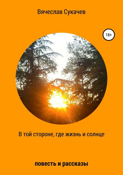 Обложка книги  «В той стороне, где жизнь и солнце»