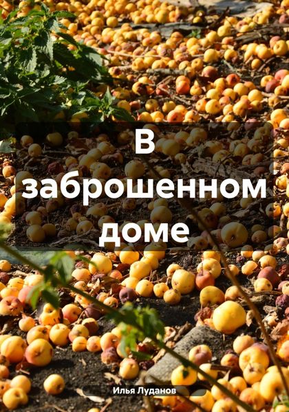 Обложка книги  «В заброшенном доме»