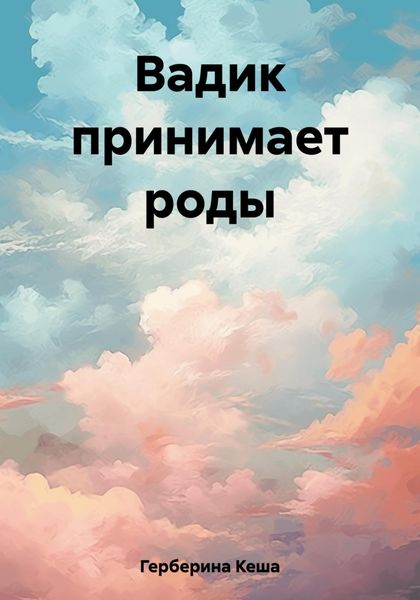 Обложка книги  «Вадик принимает роды»