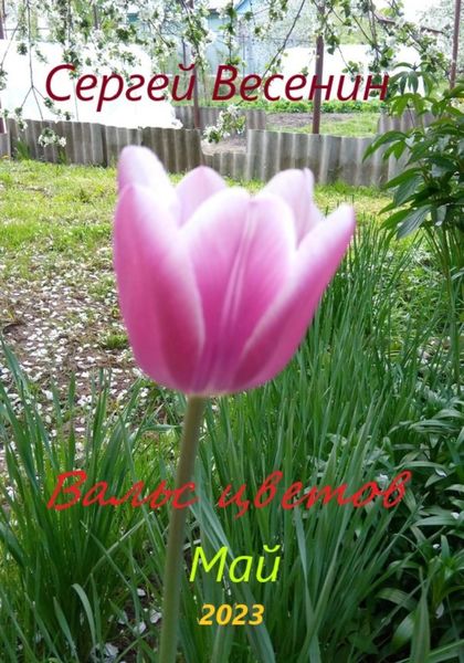 Обложка книги  «Вальс цветов»