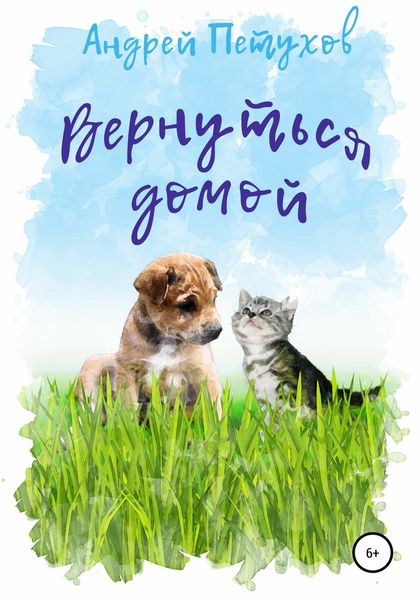 Обложка книги  «Вернуться домой»