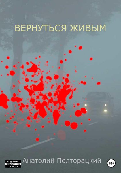 Обложка книги  «Вернуться живым»