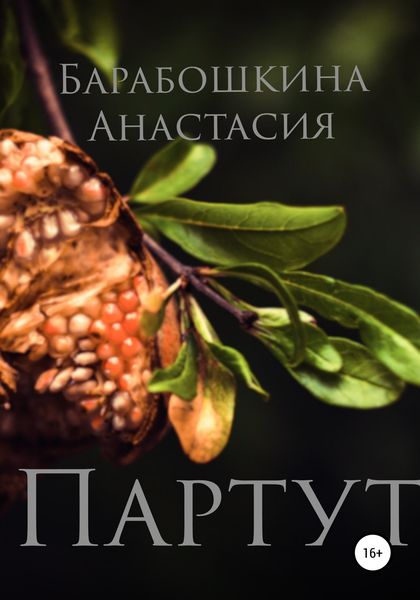 Обложка книги  «Везде, но только здесь»