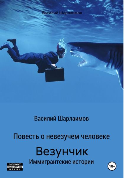 Обложка книги «Везунчик»