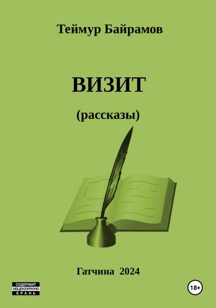 Обложка книги  «Визит»