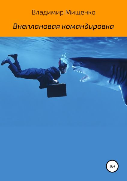 Обложка книги  «Внеплановая командировка»