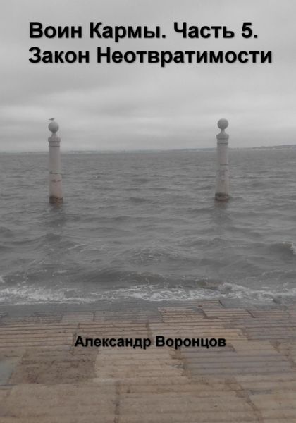 Обложка книги  «Воин Кармы. Часть 5. Закон Неотвратимости»