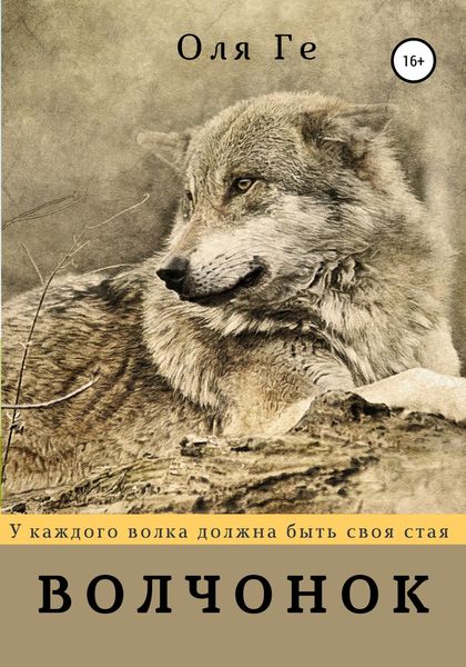 Обложка книги  «Волчонок»