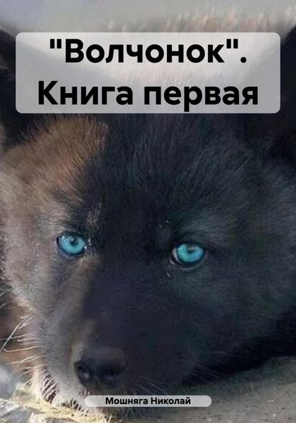 Обложка книги  ««Волчонок». Книга первая»