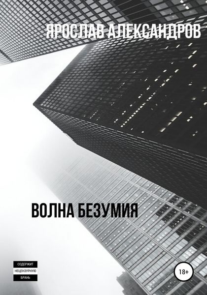 Обложка книги  «Волна безумия»