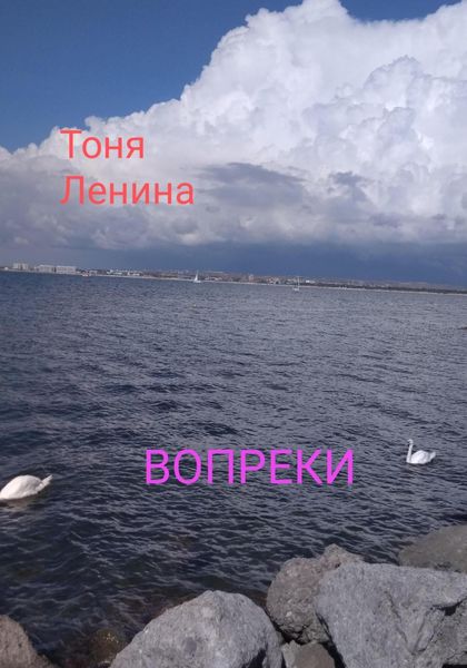Обложка книги  «Вопреки»