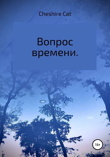 Обложка книги  «Вопрос времени»