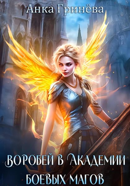 Обложка книги  «Воробей в Академии боевых магов»