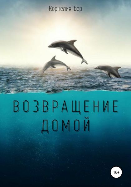 Обложка книги  «Возвращение домой»