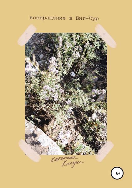 Обложка книги  «Возвращение в Биг-Сур»