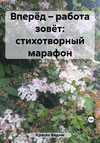 Обложка книги  «Вперёд – работа зовёт: стихотворный марафон»