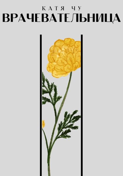 Обложка книги  «Врачевательница»