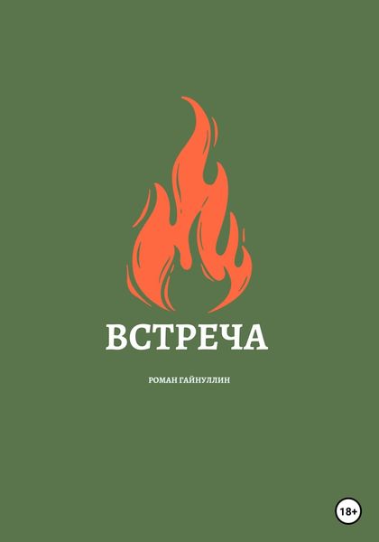 Обложка книги  «Встреча»