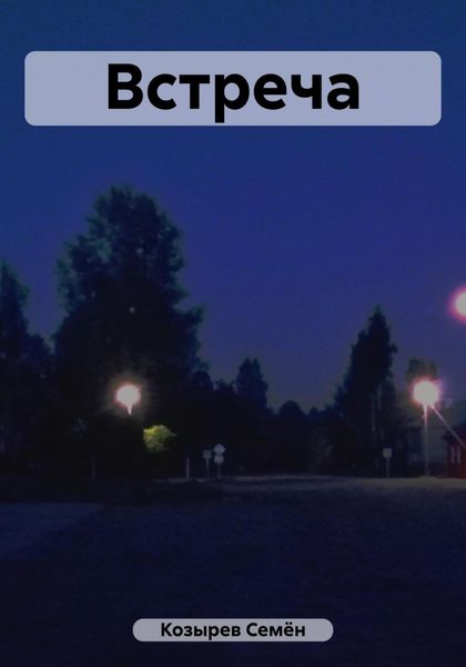 Обложка книги  «Встреча»