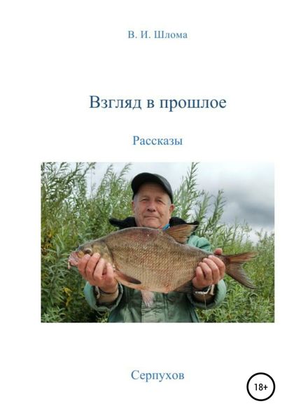 Обложка книги  «Взгляд в прошлое»