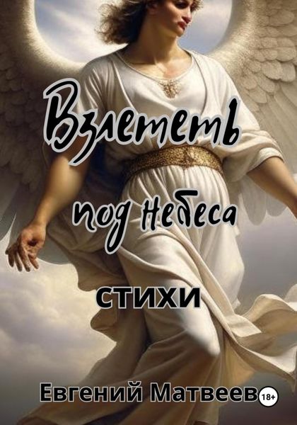 Обложка книги  «Взлететь под небеса»