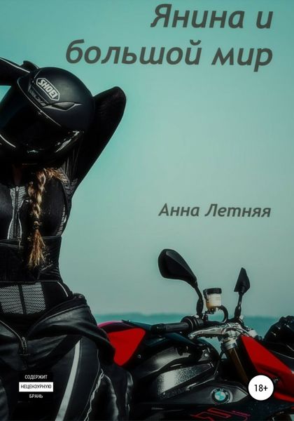 Обложка книги  «Янина и большой мир»