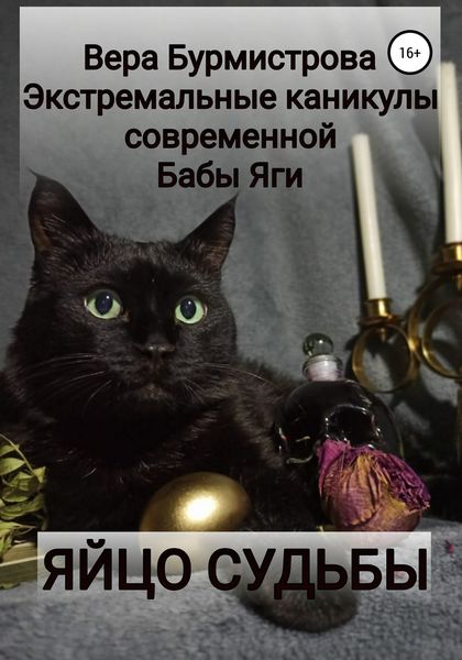 Обложка книги  «ЯЙЦО СУДЬБЫ. Экстремальные каникулы современной Бабы Яги»