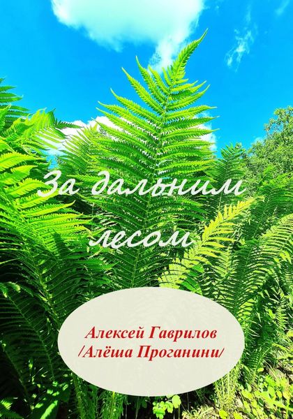 Обложка книги  «За дальним лесом»