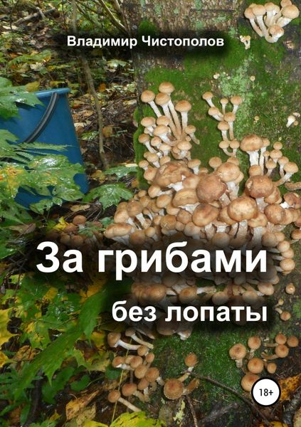 Обложка книги  «За грибами без лопаты»