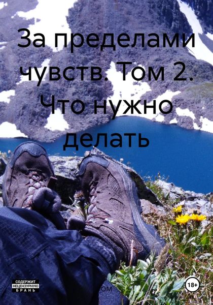 Обложка книги  «За пределами чувств. Том 2. Что нужно делать»