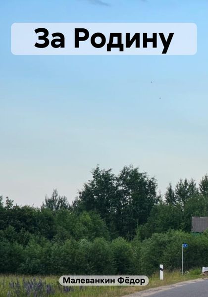 Обложка книги  «За Родину»