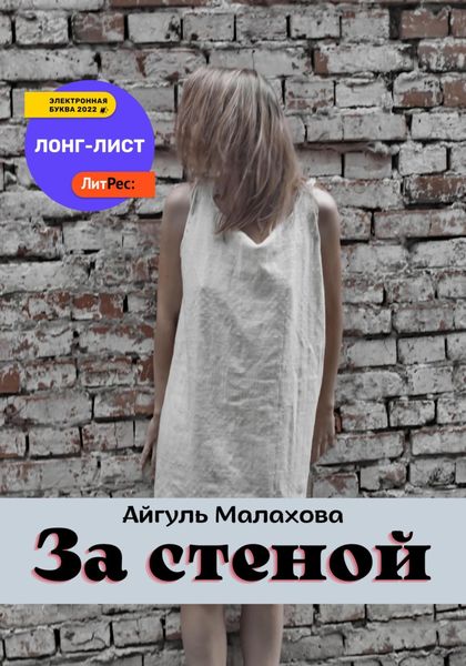 Обложка книги  «За стеной»
