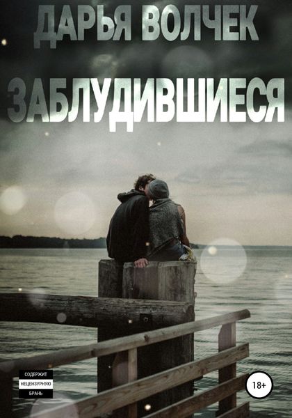 Обложка книги  «Заблудившиеся»