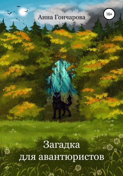 Обложка книги  «Загадка для авантюристов»