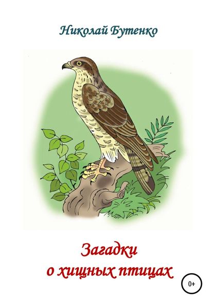 Обложка книги  «Загадки о хищных птицах»