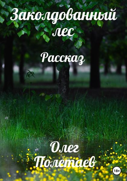 Обложка книги  «Заколдованный лес»